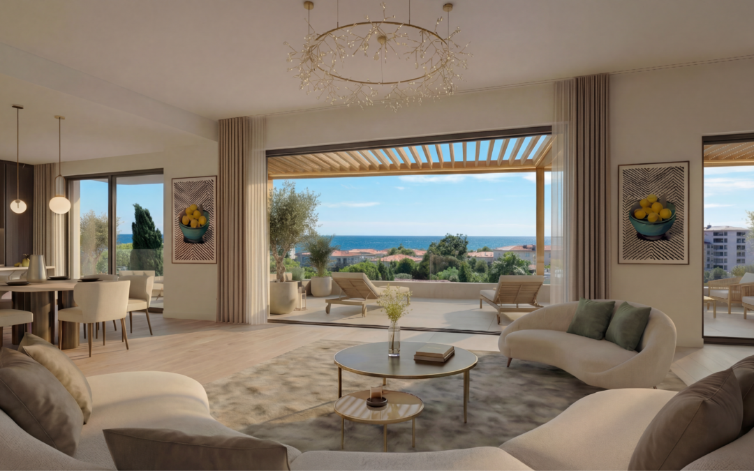 Image salon - vue Vidéo Blue Juan - réduit